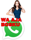 Chat WhatsApp